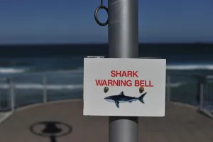 New Zealand Prints: New Zealand-Shark-Offbeat