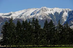 New Zealand-South Island-Mountain New Zealand-South Island-Mountain