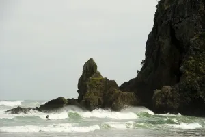 New Zealand Prints: New Zealand-Surfing-Piha Beach