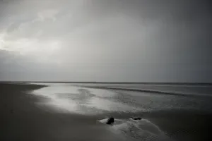 New Zealand Prints: Nzealand-Feature-Beach