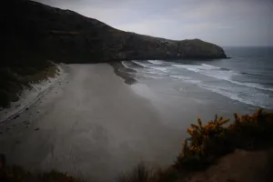 New Zealand Prints: Nzealand-Nature-Feature