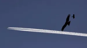 <b class=qtipBold><figcaption>Pakistan-Environment-Plane</figcaption></b><br>A commercial plane flies in the sky above Lahore on March 10, 2015. AFP PHOTO / ARIF ALI / AFP PHOTO / Arif Ali<br><em>© Copyright Agence France-Presse (AFP) - All Rights Reserved</em> Pakistan-Environment-Plane