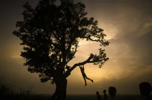 <b class=qtipBold><figcaption>Palestinian-Gaza-Daily Life</figcaption></b><br>Palestinian children play on a tree as the sun sets on May 2, 2016, in the Jabalia refugee camp in the northern Gaza Strip. / AFP PHOTO / MOHAMMED ABED<br><em>© Copyright Agence France-Presse (AFP) - All Rights Reserved</em> Palestinian-Gaza-Daily Life
