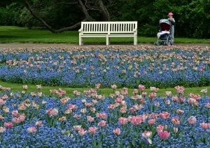 Flower Prints: Poland-Flowers - Child
