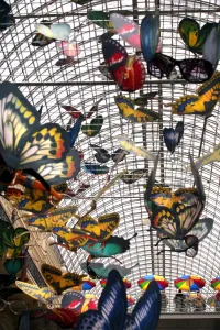Russia-Roof-Butterflies