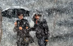 Umbrella Prints: Russia-Snow