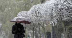 Umbrella Prints: Russia-Snowfall