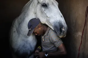 Horse Prints: Safrica-Democracy-Township
