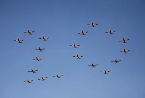 Plane In The Air Prints: Safrica-Inauguration