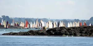 Sailing-France-Tradition-Gulf-Week