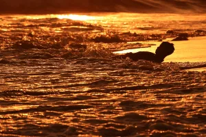 <b class=qtipBold><figcaption>Salvador-Lifestyle-Tourism-Sunset</figcaption></b><br>A young boy plays as the sun sets over El Tunco beach in La Libertad, 34 km south of San Salvador, on March 5, 2017. / AFP PHOTO / MARVIN RECINOS<br><em>© Copyright Agence France-Presse (AFP) - All Rights Reserved</em> Salvador-Lifestyle-Tourism-Sunset