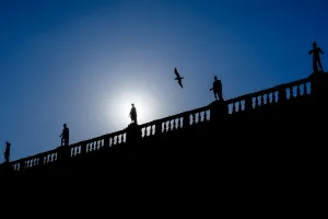 Bird Prints: A seagull flies over the statues of the Museum Capitolinis palace at Capitol
