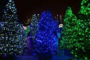 Singapore-Festival-Christmas Singapore-Festival-Christmas