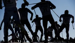 Sport Prints: Ski-Nordic-World-Men