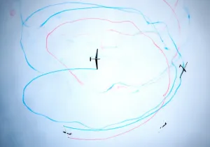 Images Dated 30th August 2014: Slovak aerobatic group Ocova Shepherds paint the sky with their gliders