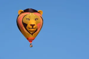 Spain-Balloons-Festival