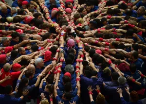 <b class=qtipBold><figcaption>Spain-Catalonia-Human-Towers-Castels</figcaption></b><br>Members of the "Colla Xiquets del Serrallo" human tower team form a "castell" during the XXVI human towers, or castells, competetion in Tarragona on October 1, 2016. These human towers, built traditionally in festivals within Catalonia, gather several teams that attempt to build and dismantle a tower structure. / AFP PHOTO / LLUIS GENE<br><em>© Copyright Agence France-Presse (AFP) - All Rights Reserved</em> Spain-Catalonia-Human-Towers-Castels
