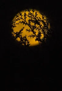 Spain-Science-Astronomy-Supermoon