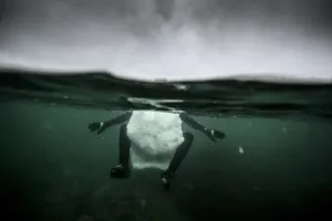 Surfing-Lofoten-Ice Board-Photo Essay