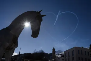 Switzerland-Offbeat-Animal-Horse Switzerland-Offbeat-Animal-Horse