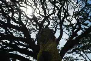Africa Prints: Tanzania-Lifestyle-Weather-Feature