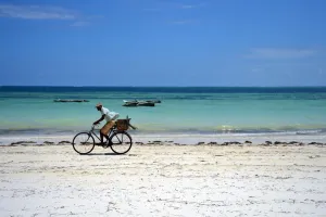 <b class=qtipBold><figcaption>TANZANIA-ZANZIBAR-THEME-TOURISM</figcaption></b><br>A cyclist rides on a beach on January 8, 2013 in Zanzibar. AFP PHOTO / GABRIEL BOUYS / AFP PHOTO / GABRIEL BOUYS<br><em>© Copyright Agence France-Presse (AFP) - All Rights Reserved</em> TANZANIA-ZANZIBAR-THEME-TOURISM