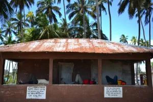 Tanzania-Zanzibar-Theme-Tourism