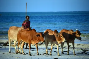 Tanzania-Zanzibar-Theme-Tourism