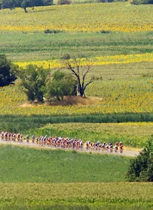Tdf-Post Card Tdf-Post Card