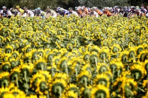 Topshots-Cycling-Fra-Tdf-2010-Pack-Postcard