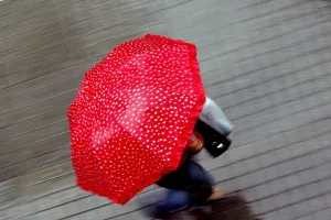 <b class=qtipBold><figcaption>TURKEY-ISTANBUL-RAIN-UMBRELLA</figcaption></b><br>A Turkish woman walks under her umbrella on Taksim Avenue 28 August 2007, the most popular avenue of Istanbul. The next two days are expected to be rainy in Istanbul. AFP PHOTO / MUSTAFA OZER / AFP PHOTO / MUSTAFA OZER<br><em>© Copyright Agence France-Presse (AFP) - All Rights Reserved</em> TURKEY-ISTANBUL-RAIN-UMBRELLA