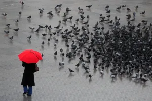 <b class=qtipBold><figcaption>Turkey-Rain-Feature</figcaption></b><br>A Turkish woman walks with her umbrella on Taksim Square in Istanbul during a rainy day on December 12, 2009. AFP PHOTO/MUSTAFA OZER / AFP PHOTO / MUSTAFA OZER<br><em>© Copyright Agence France-Presse (AFP) - All Rights Reserved</em> Turkey-Rain-Feature