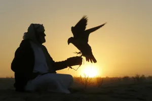 Uae-Festival-Falconry