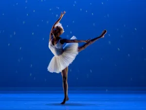 Us-Dance-Dada Masilo Swan Lake