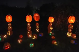 Halloween Prints: Us-Halloween-Pumpkins-Jack O lanterns-Carving-Illuminated-Rise O
