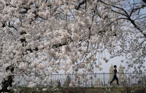 : US-LIFESTYLE-NEWYORK-WEATHER