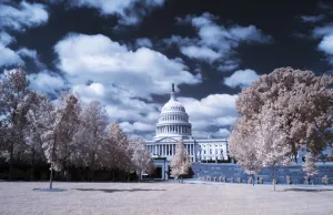 Prints of The Capitol building is seen through trees in Washington DC on September 26, 2017. / AFP PHOTO / Andrew CABALLERO-REYNOLDS USA Prints: Us-Politics-Social-Infrared-Washington Dc