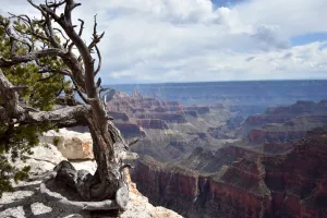 Us-Tourism-Enviornment-Grand Canyon