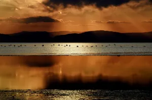 <b class=qtipBold><figcaption>Us-Water-Birds</figcaption></b><br>The sun sets as water birds fly near Red Hill Marina at the Salton Sea, California. AFP PHOTO / MARK RALSTON / AFP PHOTO / MARK RALSTON<br><em>© Copyright Agence France-Presse (AFP) - All Rights Reserved</em> Us-Water-Birds