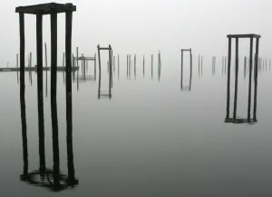 Us-Weather-Fog