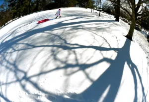 Prints of A child goes sledding down a hill in Bruce Park in Greenwich, Connecticut January 24, 2016 the morning a historic snowstorm that dumped 2 feet or more on some major cities. AFP PHOTO / Timothy A USA Prints: Us-Weather-Snow-Sledding