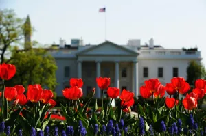 Us-Weather-Spring-Flower-White House