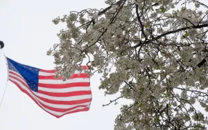 Prints of Aas flag flows near snow and ice covered blooms on trees near the US Capitol in Washington, DC March 14 USA Prints: Us-Weather-Storm-Stella