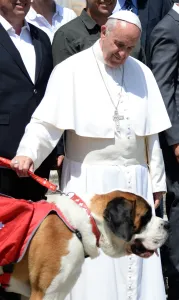 <b class=qtipBold><figcaption>Vatican-Pope-Dog</figcaption></b><br>Pope Francis poses with a dog of the Barry Foundation of the Great St Bernard after his weekly general audience at St Peter's square on May 18, 2016 in Vatican. / AFP PHOTO / Filippo MONTEFORTE<br><em>© Copyright Agence France-Presse (AFP) - All Rights Reserved</em> Vatican-Pope-Dog
