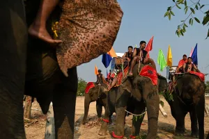 Vietnam-Animal-Elephant-Festival