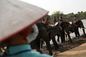 Vietnam-Animal-Elephant-Festival