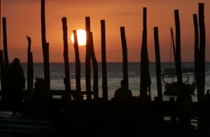 Africa Prints: Zanzibar Sunset Postcard