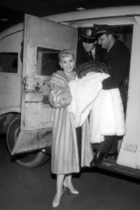 Actress Prints: Zsa Zsa Gabor 1955